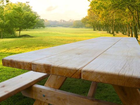 Eiken Picknicktafel 'Bram' 2,00 meter